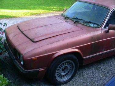 for sale